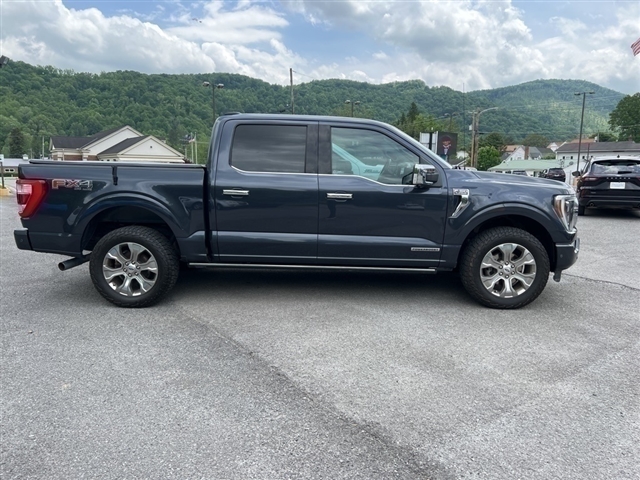 2021 Ford F-150 Platinum Crew Cab 4wd - Photo 4