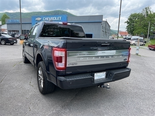 2021 Ford F-150 Platinum Crew Cab 4wd - Photo 7