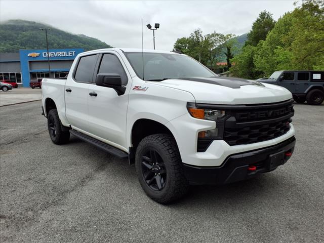 2022 Chevrolet Silverado 1500 Custom Trail Boss - Photo 7