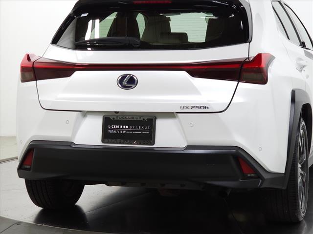 2020 Lexus UX 250h