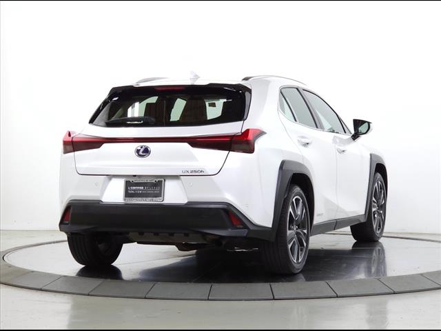2019 Lexus UX 250h UX 250H