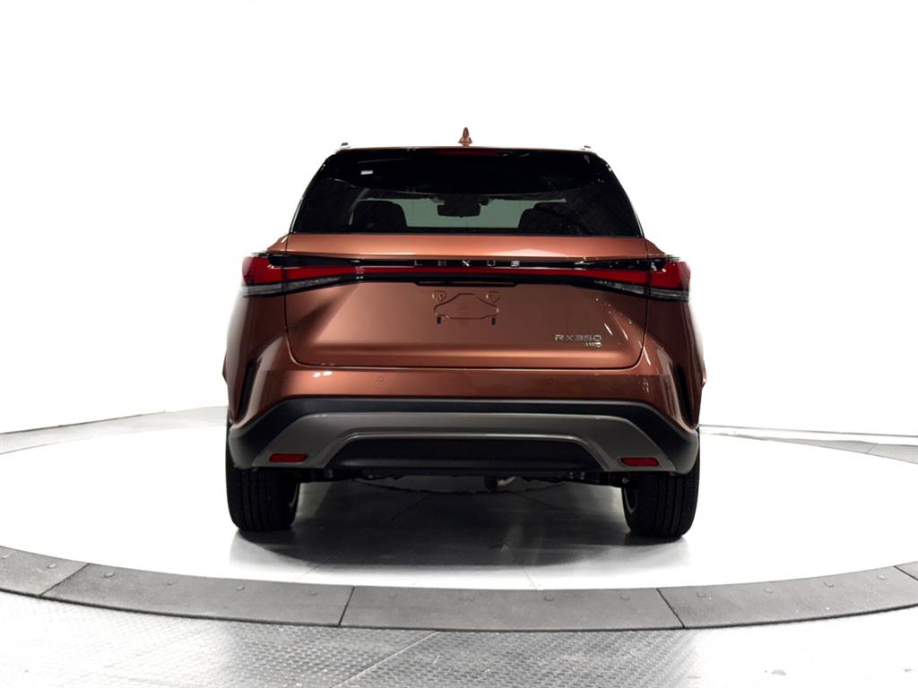 2025 Lexus RX 350 Luxury AWD photo 9
