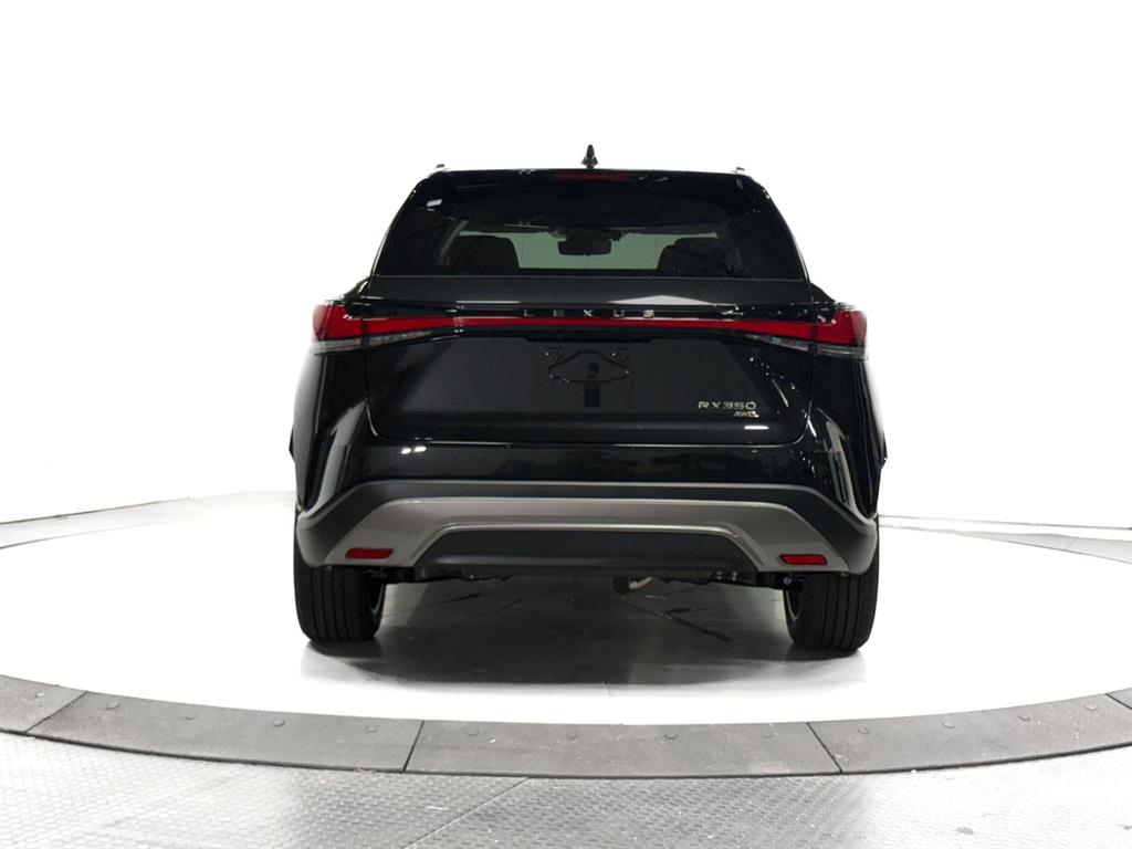 2025 Lexus RX 350 Luxury AWD photo 10