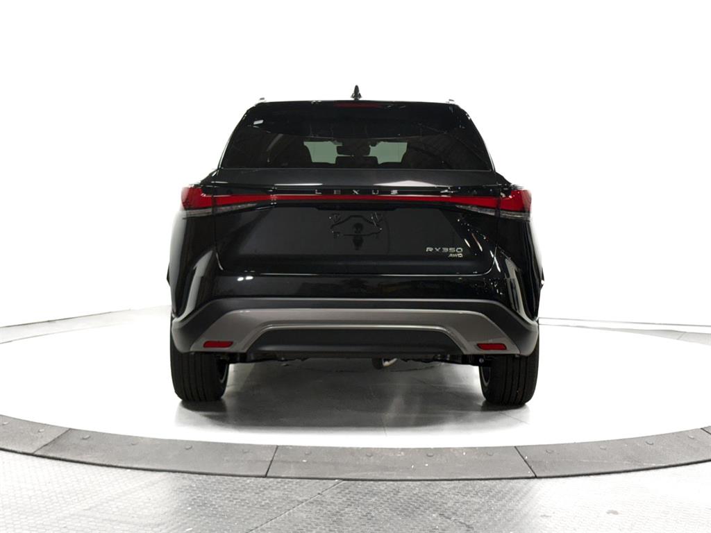 2025 Lexus RX 350 Premium photo 10