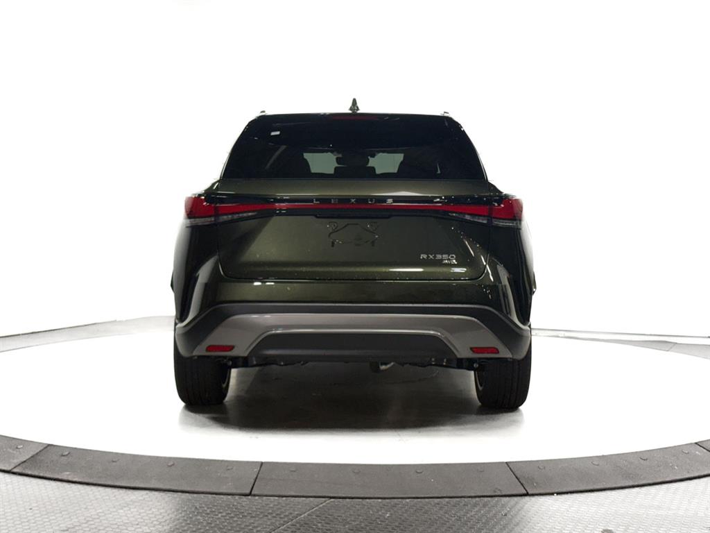 2025 Lexus RX 350 Premium AWD photo 10