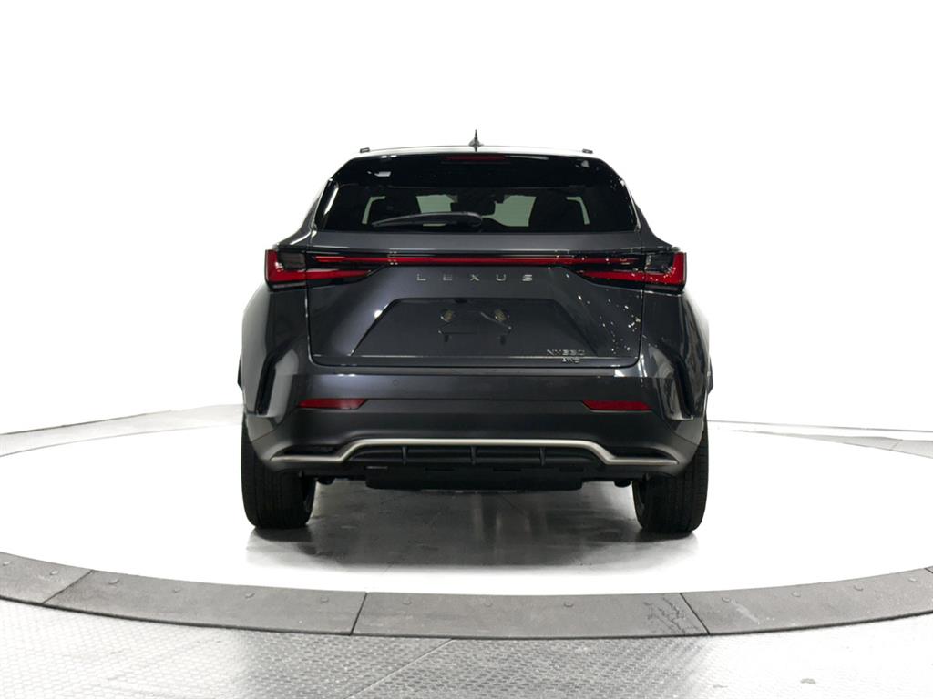 2026 Lexus NX F SPORT Handling photo 10
