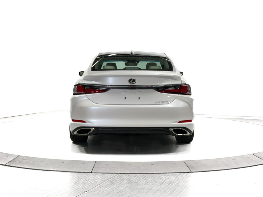 2025 Lexus ES Luxury photo 10