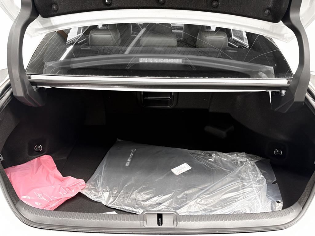 2025 Lexus ES 300h Ultra Luxury photo 10