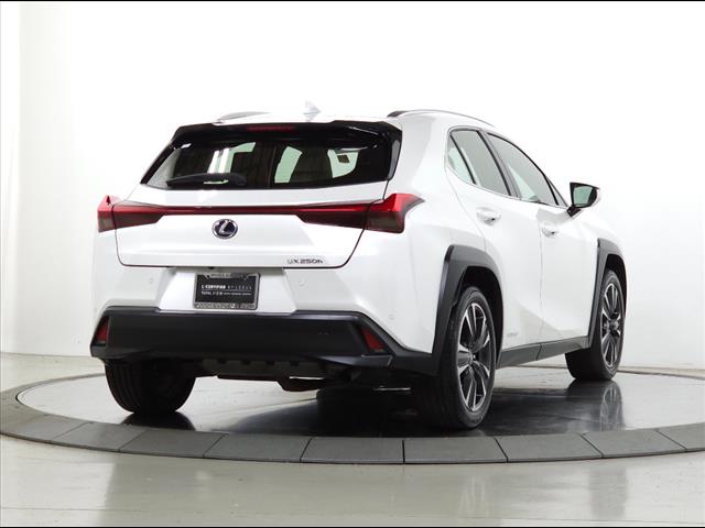 2020 Lexus UX 250h