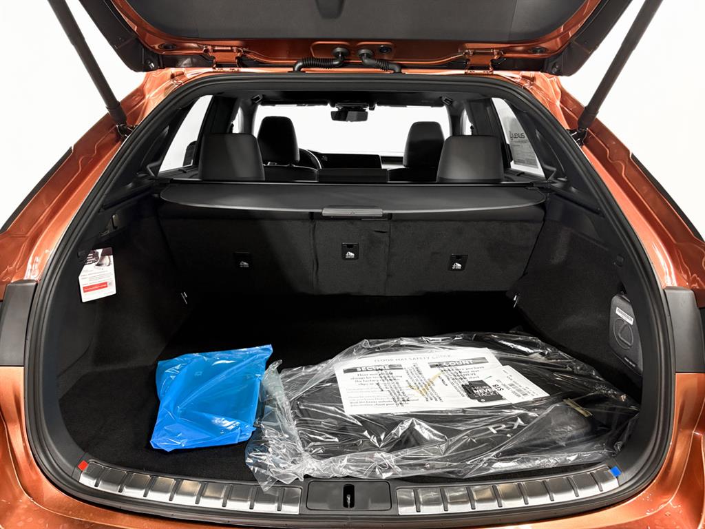 2025 Lexus RX 350 Luxury AWD photo 10