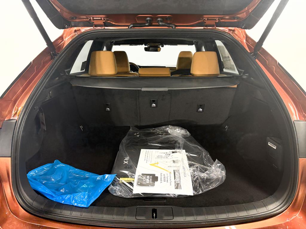 2025 Lexus RX 350 Premium AWD photo 11