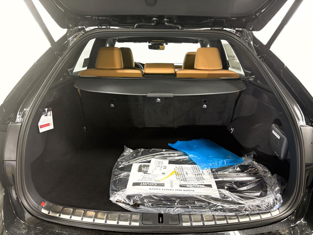 2025 Lexus RX 350 Premium photo 11