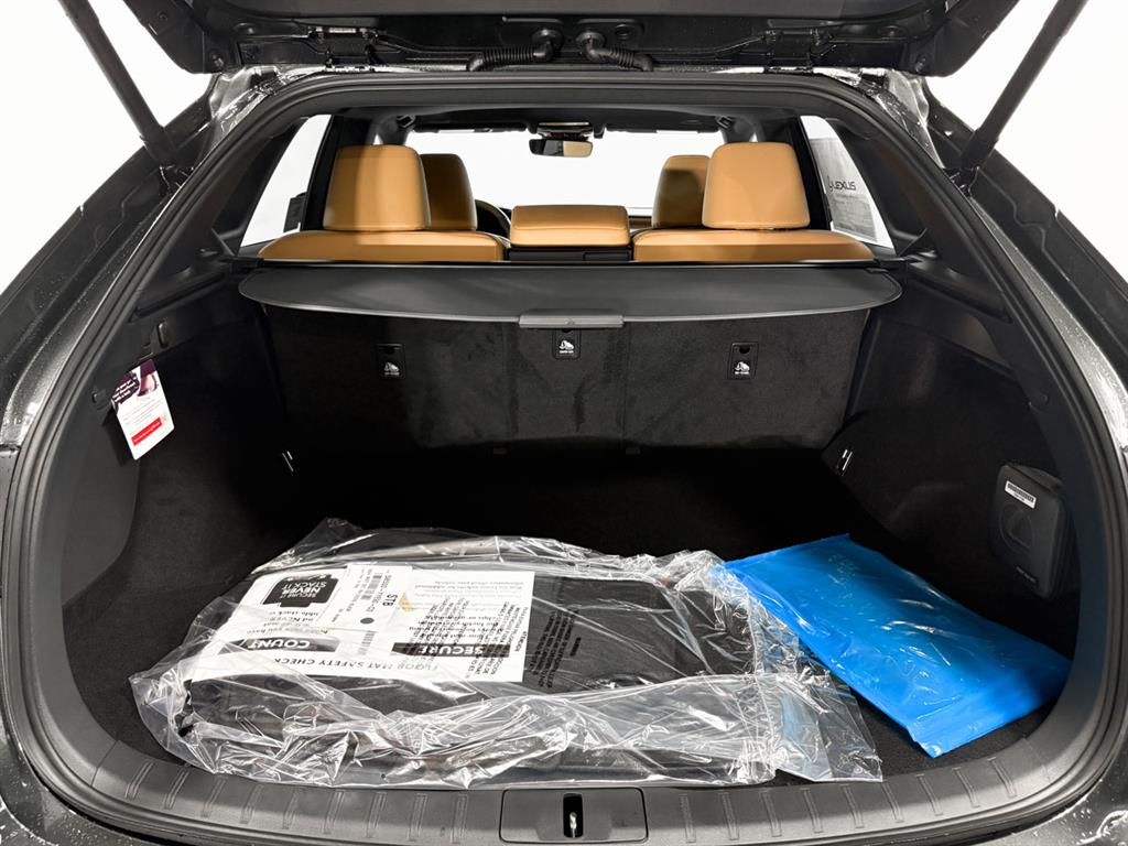 2025 Lexus RX 350 Premium AWD photo 11