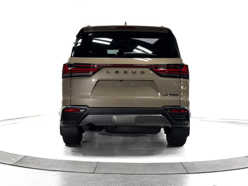 2025 Lexus LX photo 10