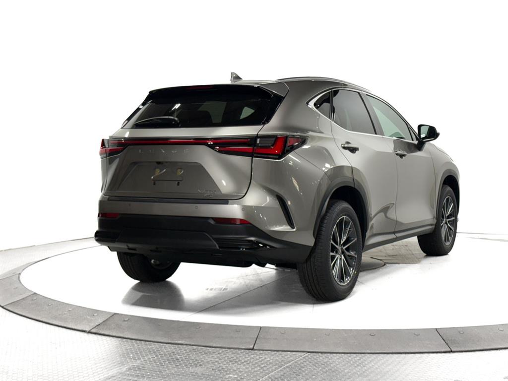 2026 Lexus NX 350 photo 11