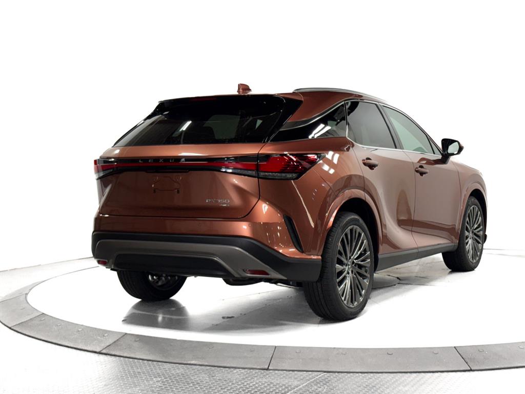 2025 Lexus RX 350 Luxury AWD photo 11
