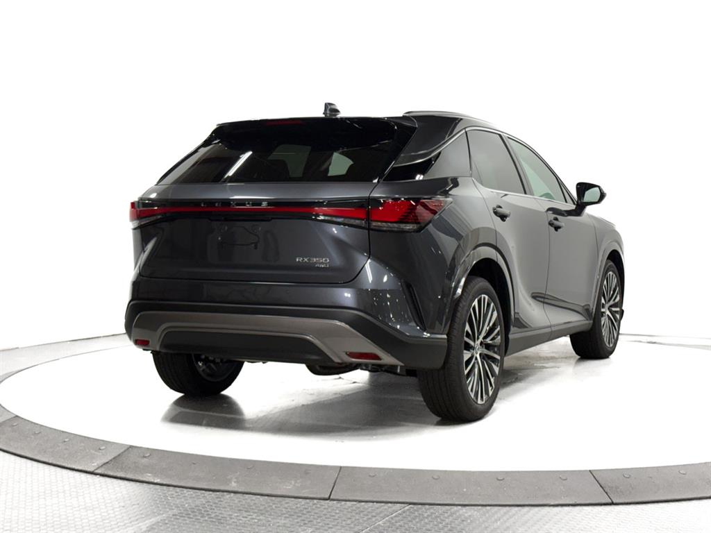 2025 Lexus RX 350 Premium photo 11
