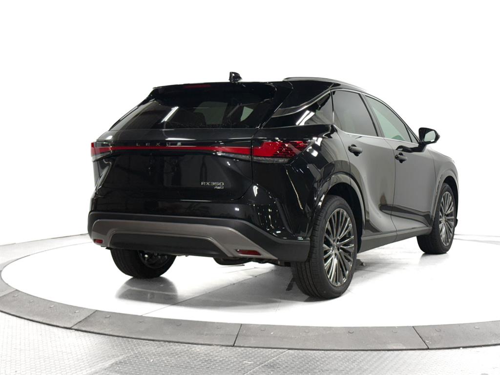 2025 Lexus RX 350 Luxury AWD photo 12