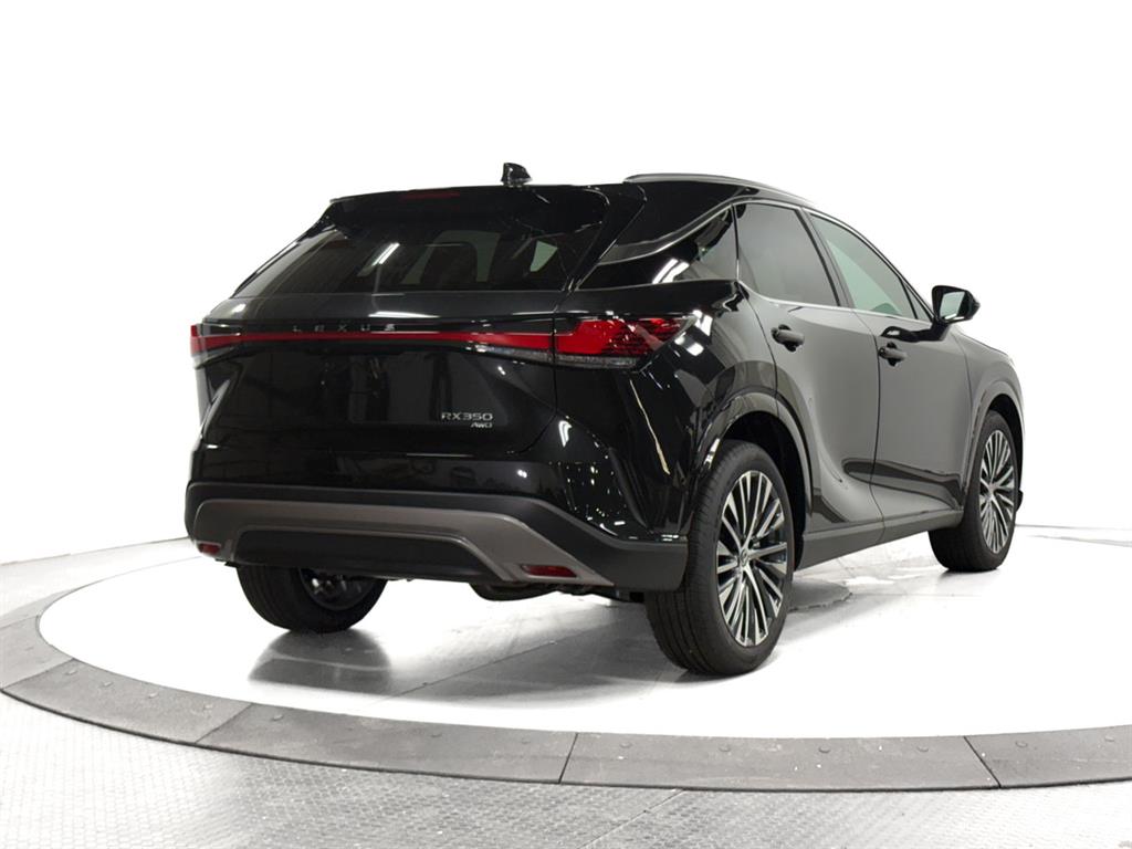 2025 Lexus RX 350 Premium photo 12