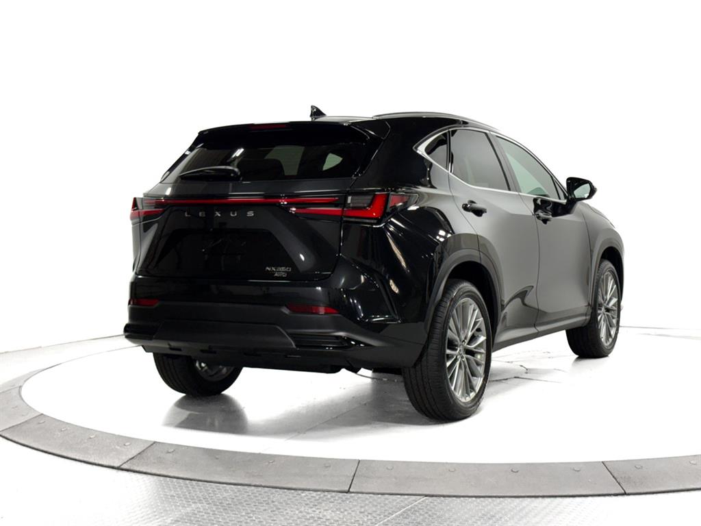 2026 Lexus NX Premium photo 12