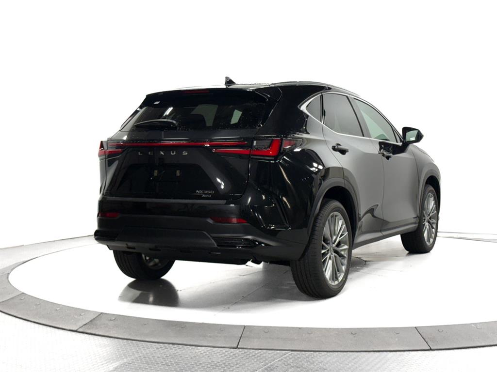 2026 Lexus NX Premium photo 12