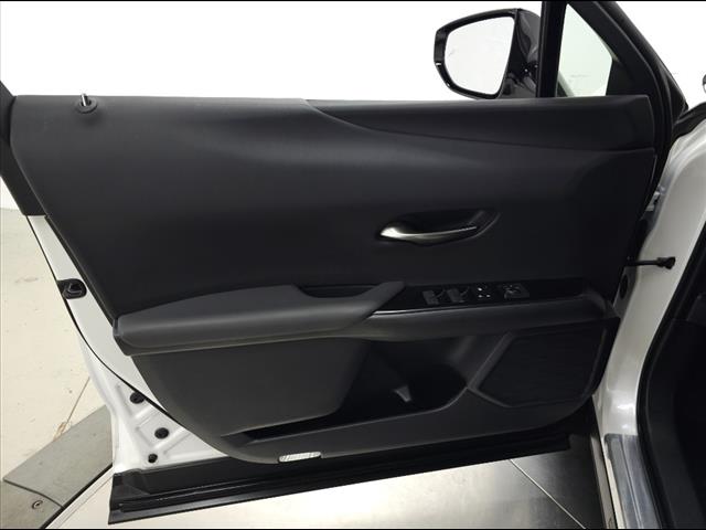 2020 Lexus UX 250h 