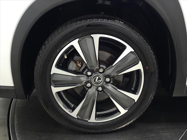 2019 Lexus UX 250h UX 250H