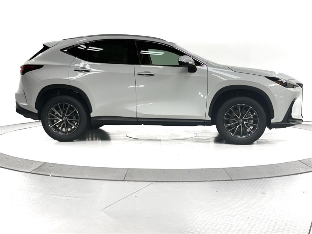 2026 Lexus NX 350 photo 10
