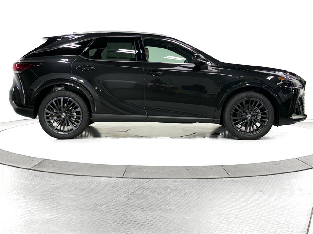 2025 Lexus RX 350 Premium AWD photo 10