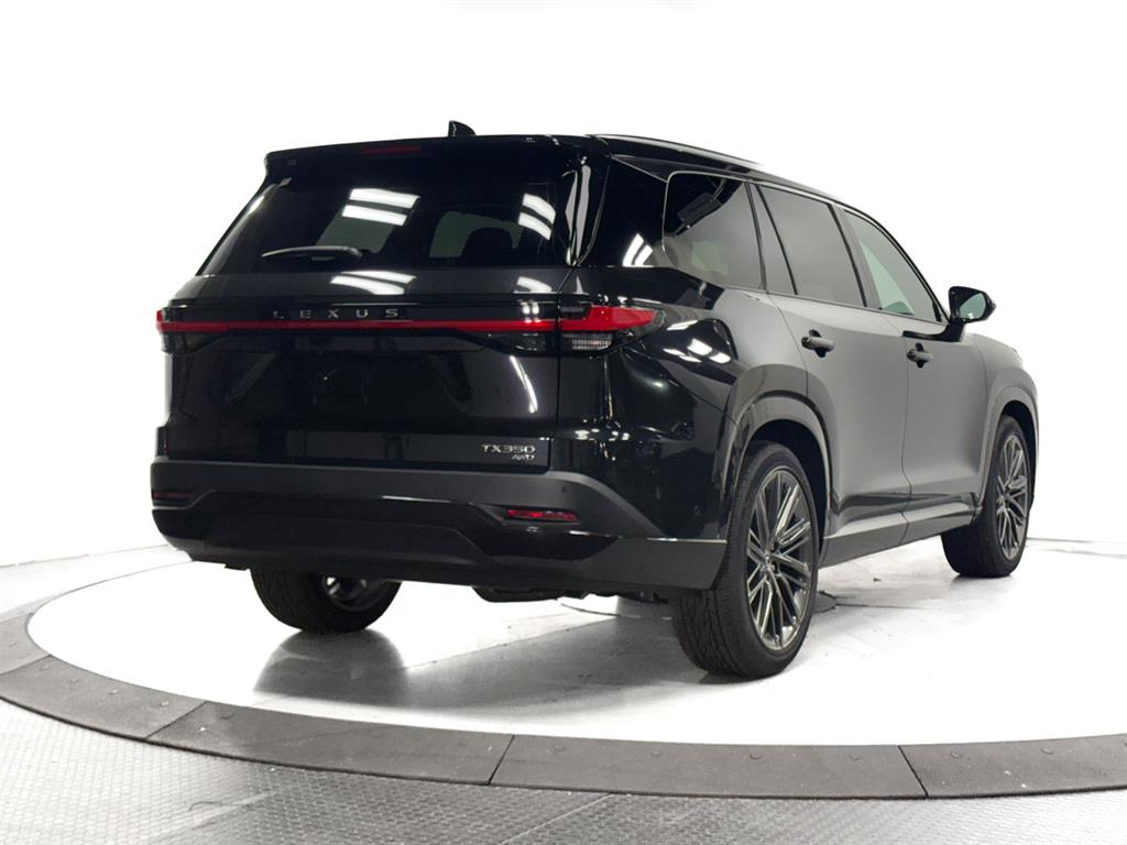 2025 Lexus TX 350 Luxury photo 10