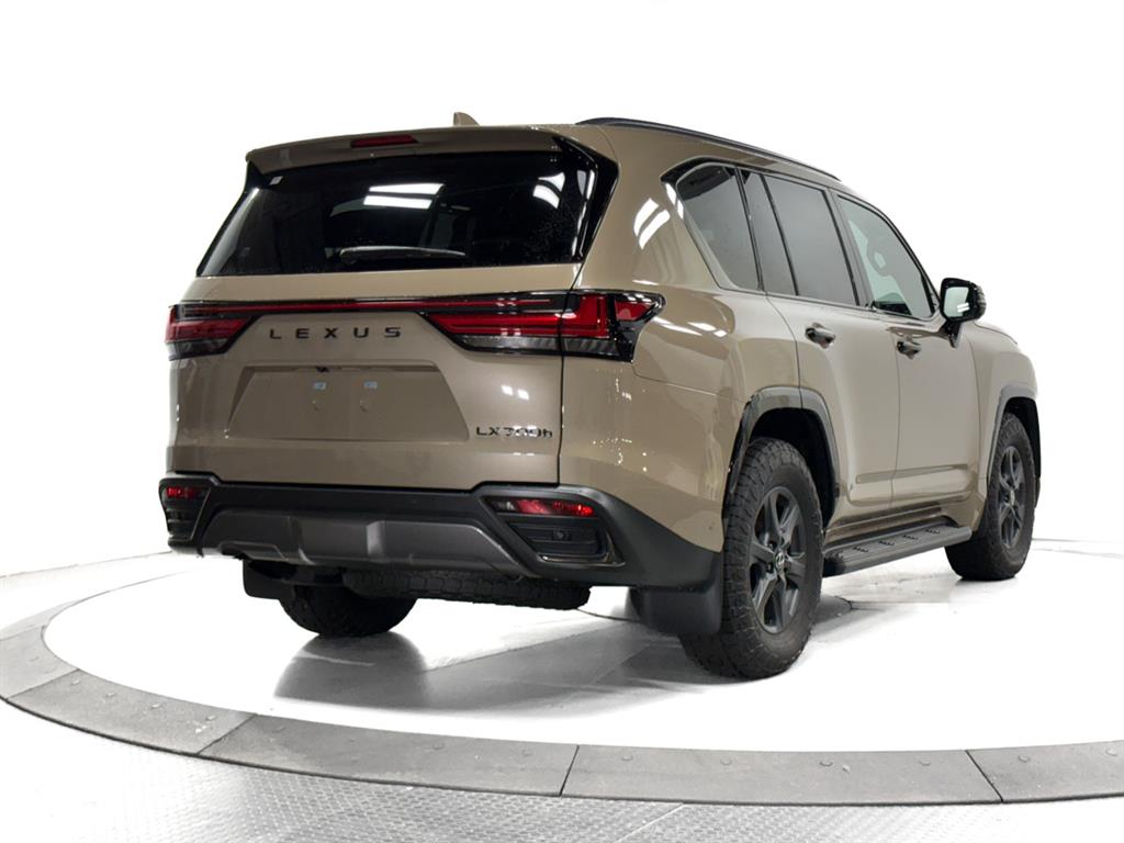 2025 Lexus LX photo 11