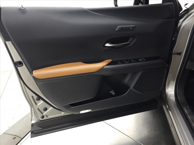 2020 Lexus UX 250h Luxury