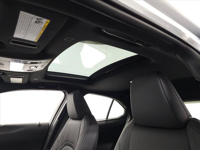 2023 Lexus UX 250h Premium