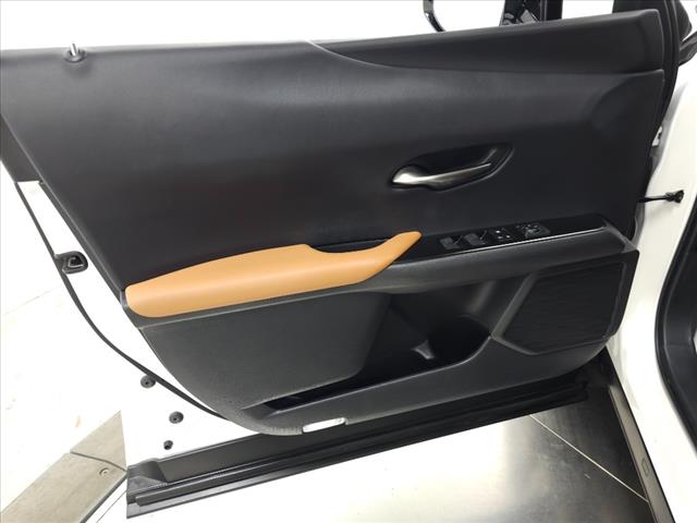 2019 Lexus UX 250h UX 250H