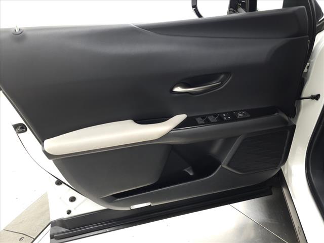 2020 Lexus UX 250h