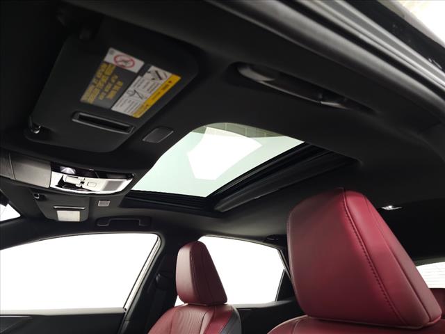 2024 Lexus NX 450h+