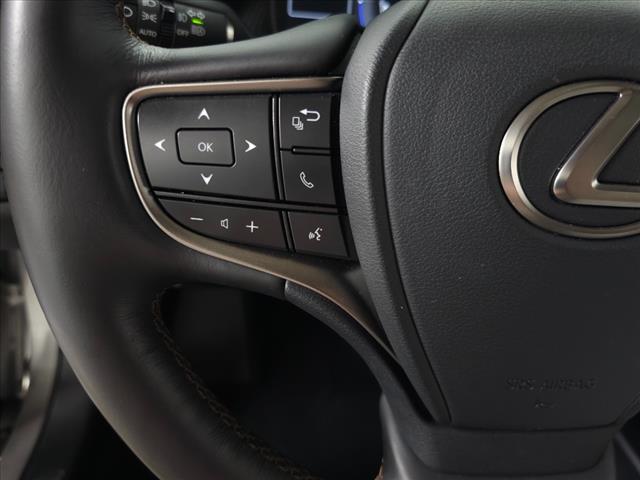 2020 Lexus UX 250h Luxury