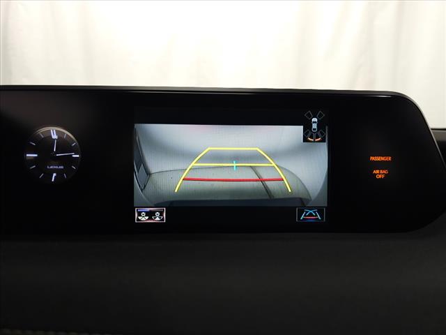 2020 Lexus UX 250h 