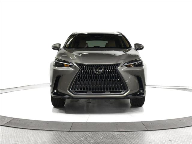 2025 Lexus NX 250