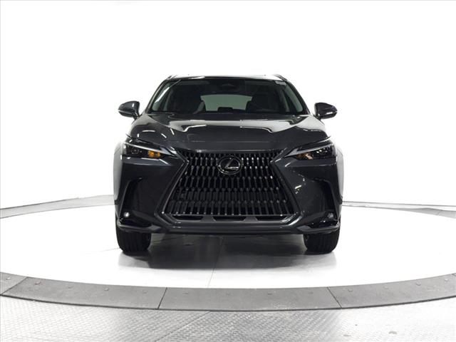 2025 Lexus NX 250