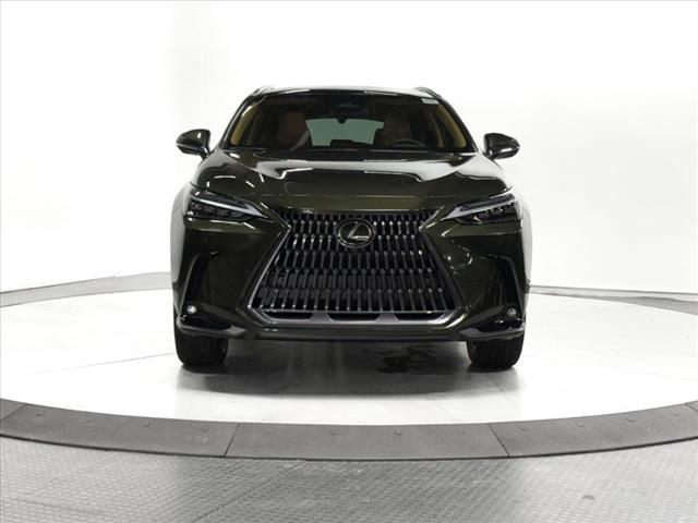 2025 Lexus NX 350 Luxury