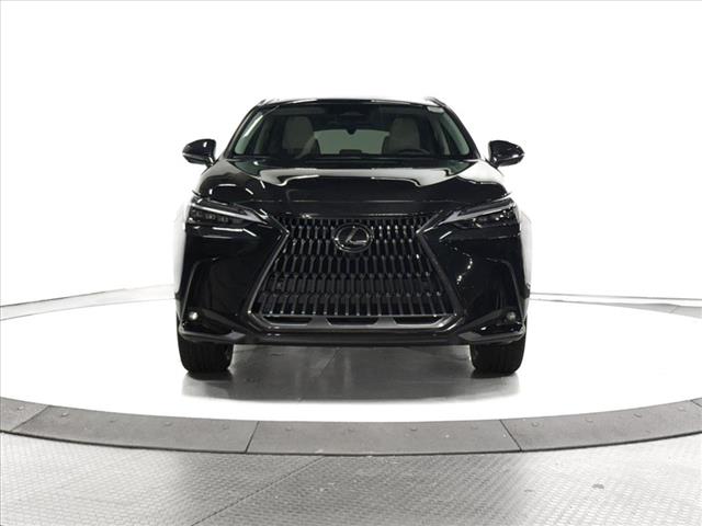 2025 Lexus NX 350 Luxury