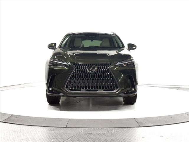 2025 Lexus NX 350 Luxury