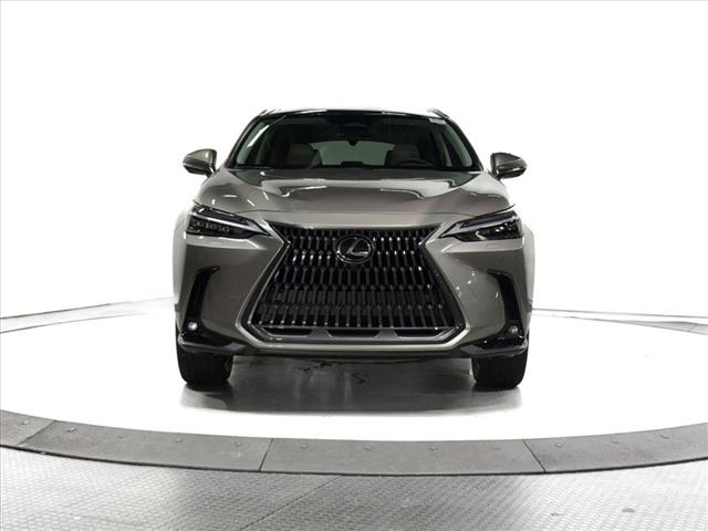 2025 Lexus NX 350 Luxury