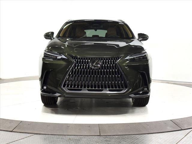 2025 Lexus NX 350 Luxury