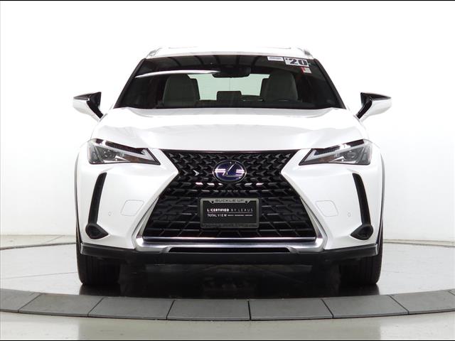 2020 Lexus UX 250h