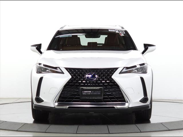 2019 Lexus UX 250h UX 250H