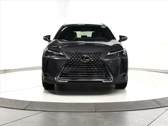 2025 Lexus UX 300h Premium