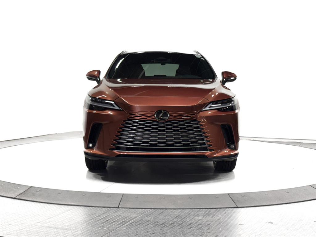 2025 Lexus RX 350 Luxury AWD photo 2