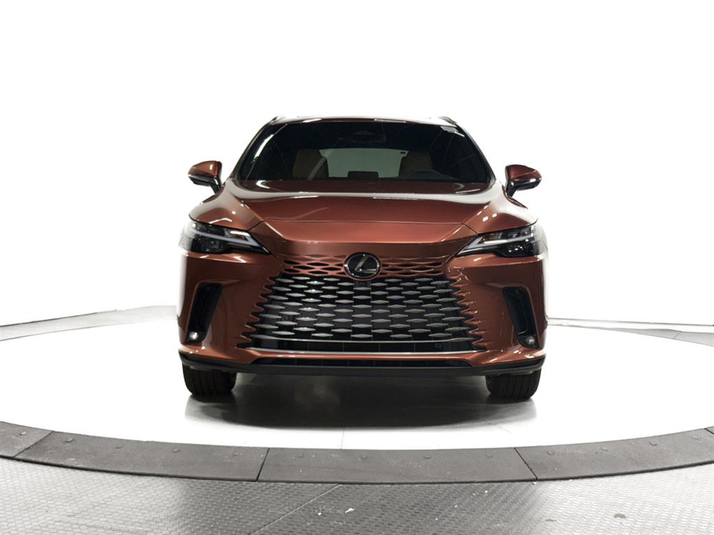 2025 Lexus RX 350 Premium AWD photo 2